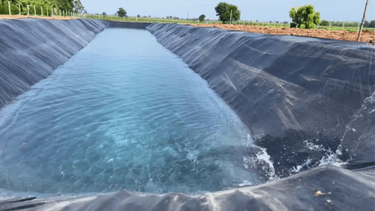 Best-pond-liner-for-use