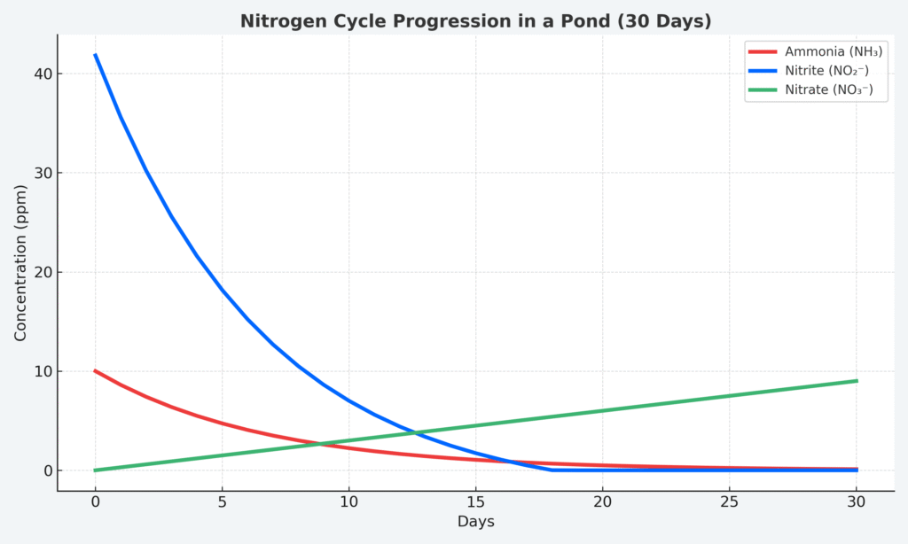 nitrogen cycle line graph